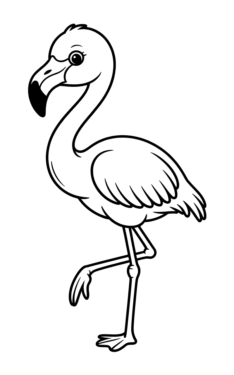 फ्लेमिंगो संतुलन