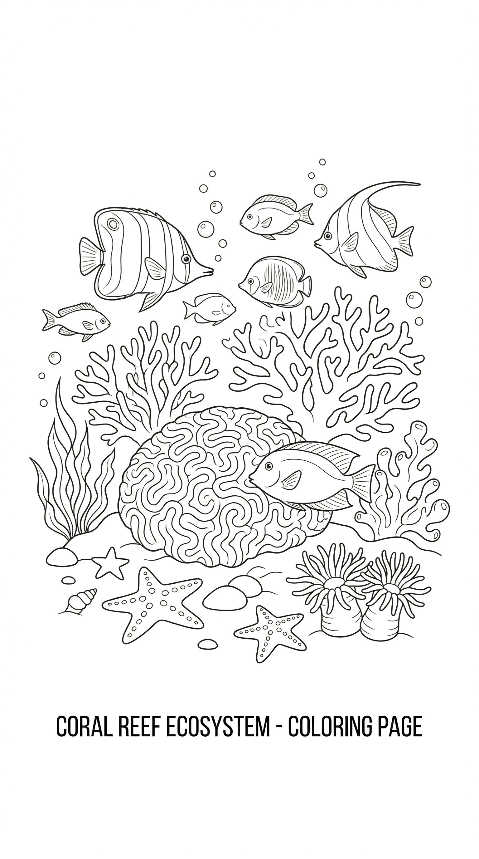 "Récif corallien sous-marin