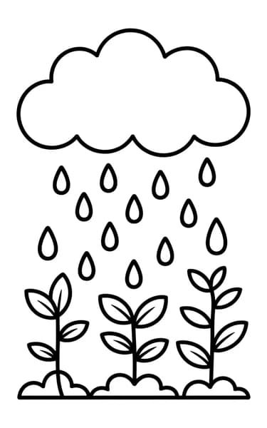 बारिश वाला बगीचा